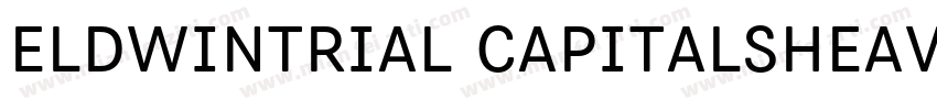 EldwinTrial CapitalsHeavyttf字体转换